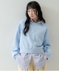 GALLEST / ギャレスト スウェット | ワイドスリーブカラースウェット