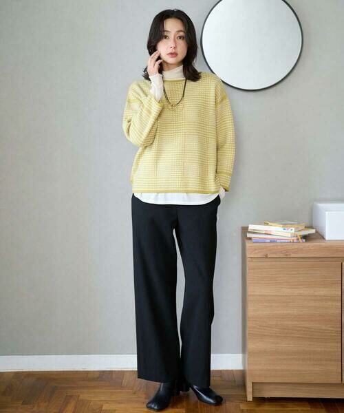 GEORGES RECH / ジョルジュ・レッシュ チノ・ワークパンツ | [日本製]ウーリッチ両面起毛ストレートパンツ | 詳細19