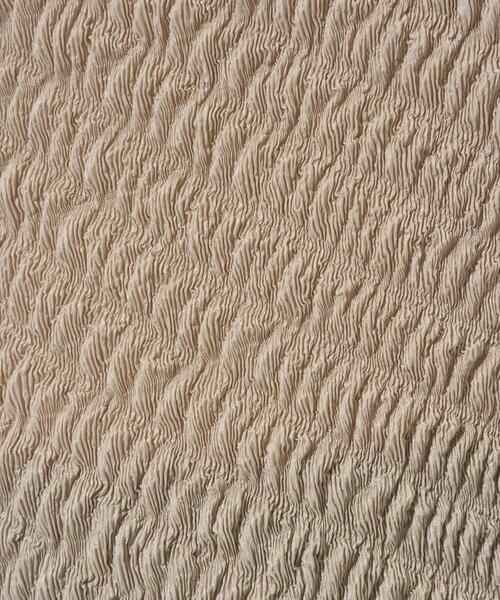 GEORGES RECH / ジョルジュ・レッシュ シャツ・ブラウス | プリーツフレンチスリーブプルオーバー | 詳細12