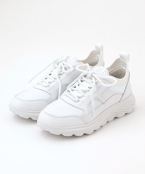 GEOX ジェオックス レディース スニーカー シューズ Sneakers