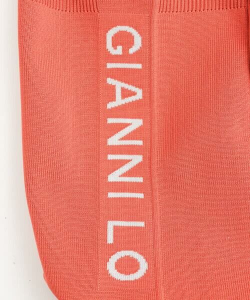 GIANNI LO GIUDICE / ジャンニ・ロ・ジュディチェ その他小物 | ロゴニットバッグ | 詳細4