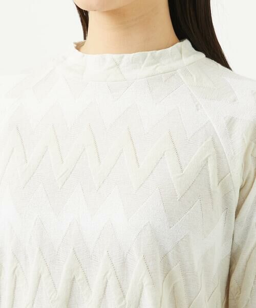 GIANNI LO GIUDICE / ジャンニ・ロ・ジュディチェ カットソー | [洗える・日本製]ヤバネジャガードカットソー | 詳細13