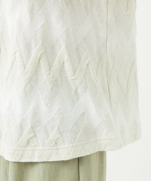 GIANNI LO GIUDICE / ジャンニ・ロ・ジュディチェ カットソー | [洗える・日本製]ヤバネジャガードカットソー | 詳細15
