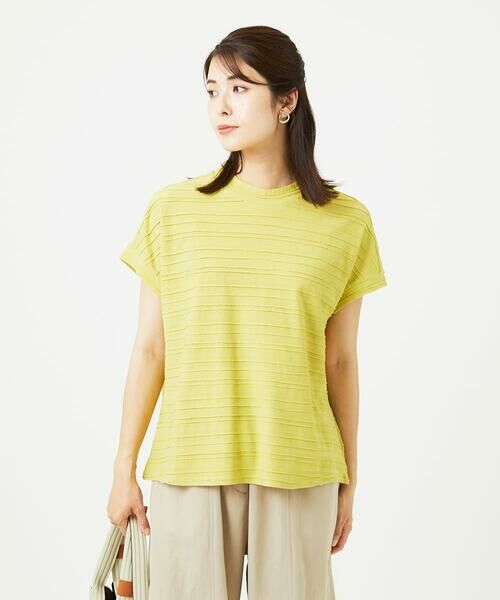 GIANNI LO GIUDICE / ジャンニ・ロ・ジュディチェ カットソー | [洗える]タックボーダージャガードカットソー | 詳細3