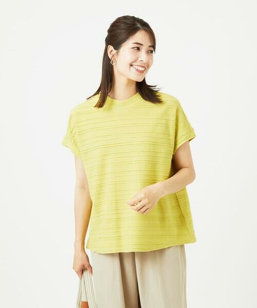 GIANNI LO GIUDICE / ジャンニ・ロ・ジュディチェ カットソー | [洗える]タックボーダージャガードカットソー | 詳細4