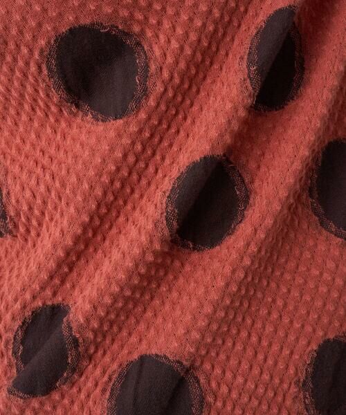 GIANNI LO GIUDICE / ジャンニ・ロ・ジュディチェ カットソー | [洗える・日本製]強撚コットンドットカットソー | 詳細3