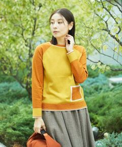 GIANNI LO GIUDICE / ジャンニ・ロ・ジュディチェ ニット・セーター | バイカラーポケットニット