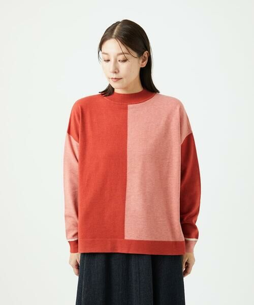 GIANNI LO GIUDICE / ジャンニ・ロ・ジュディチェ ニット・セーター | バイカラーニット | 詳細2