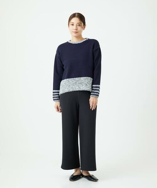 GIANNI LO GIUDICE / ジャンニ・ロ・ジュディチェ ニット・セーター | [洗える]カスリパネルボーダーニット | 詳細16