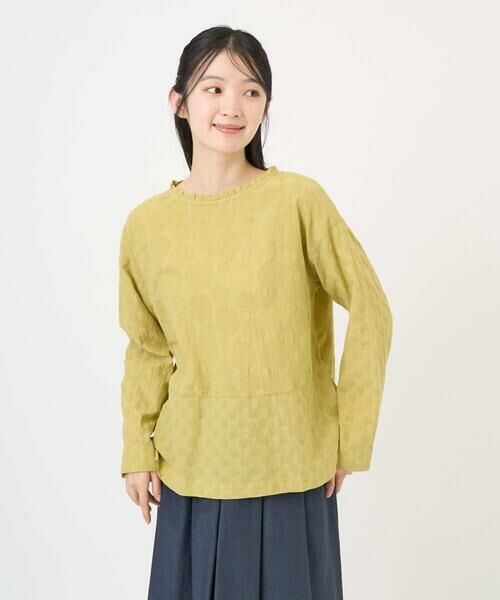 GIANNI LO GIUDICE / ジャンニ・ロ・ジュディチェ シャツ・ブラウス | [洗える]シャドーボイルドットブラウス | 詳細1