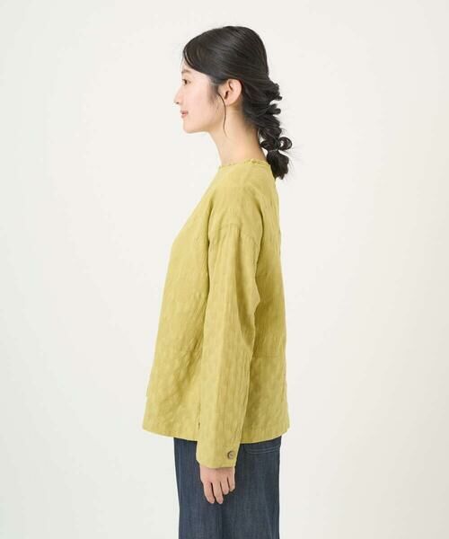 GIANNI LO GIUDICE / ジャンニ・ロ・ジュディチェ シャツ・ブラウス | [洗える]シャドーボイルドットブラウス | 詳細3