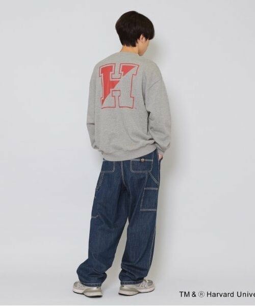 GLAZOS / グラソス スウェット | 【大人向けサイズあり】【HARVARD】バックロゴプリントトレーナー | 詳細1