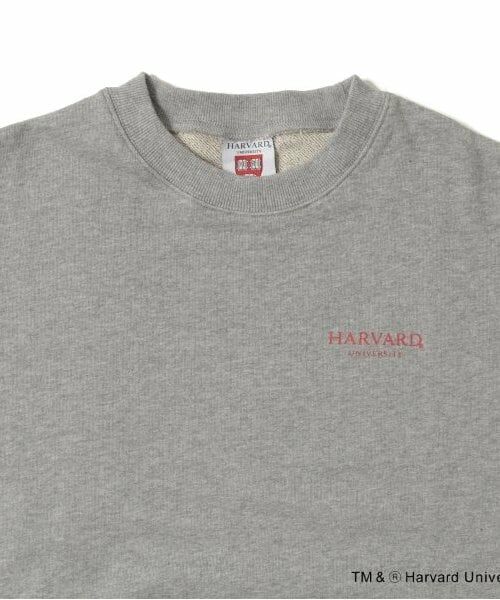 GLAZOS / グラソス スウェット | 【大人向けサイズあり】【HARVARD】バックロゴプリントトレーナー | 詳細3