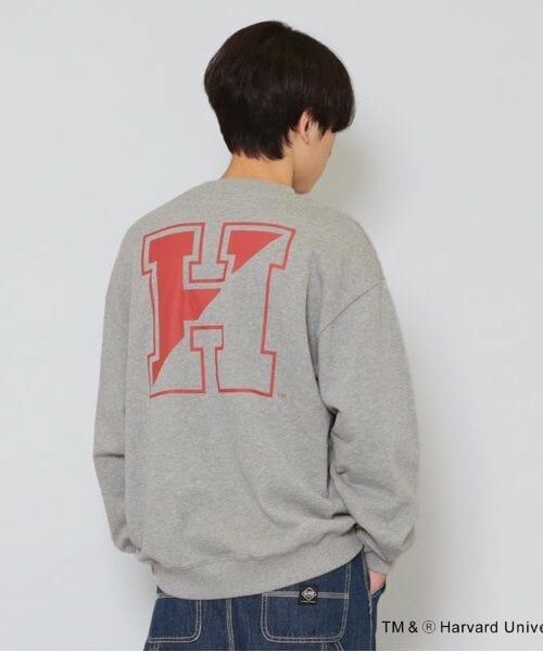 GLAZOS / グラソス スウェット | 【大人向けサイズあり】【HARVARD】バックロゴプリントトレーナー（グレー）
