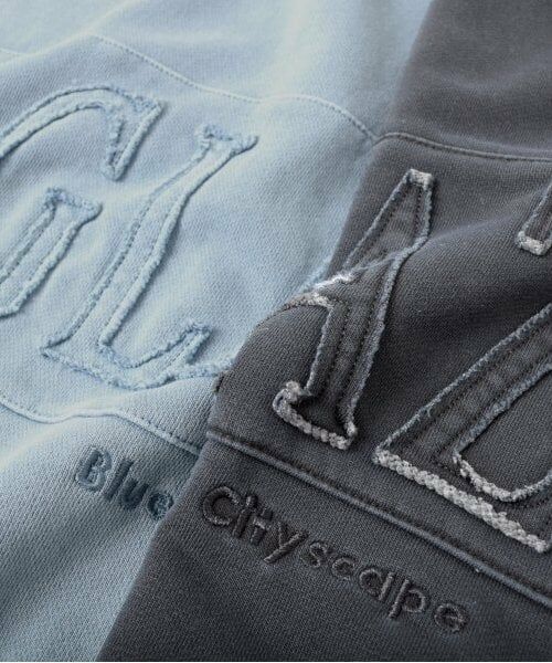 GLAZOS / グラソス スウェット | 【大人向けサイズあり】【しっかり・毛玉になりにくい】ピグメント・アップリケトレーナー | 詳細8