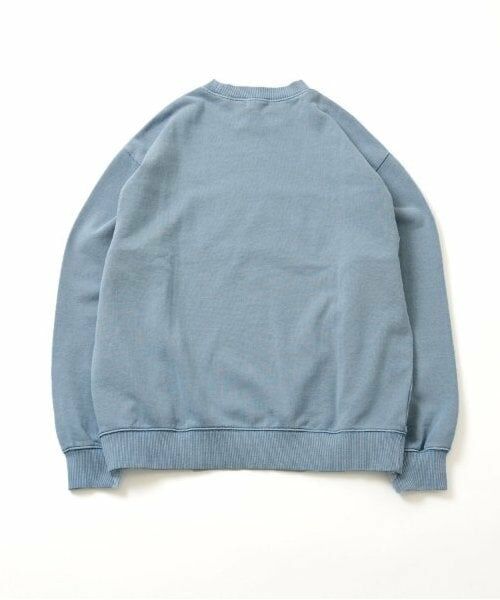 GLAZOS / グラソス スウェット | 【大人向けサイズあり】【しっかり・毛玉になりにくい】ピグメント・アップリケトレーナー | 詳細9