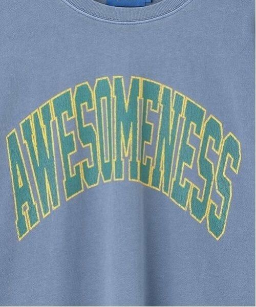 GLAZOS / グラソス Tシャツ | 【大人向けサイズあり】【ヘビーウェイト天竺】ピグメントカレッジロゴTシャツ | 詳細3