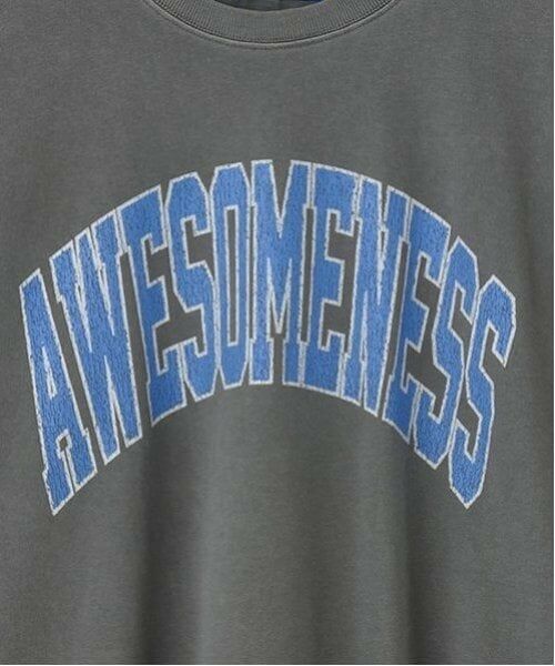 GLAZOS / グラソス Tシャツ | 【大人向けサイズあり】【ヘビーウェイト天竺】ピグメントカレッジロゴTシャツ | 詳細4