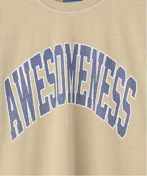 GLAZOS / グラソス Tシャツ | 【大人向けサイズあり】【ヘビーウェイト天竺】ピグメントカレッジロゴTシャツ | 詳細5