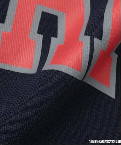 GLAZOS / グラソス Tシャツ | 【大人向けサイズあり】【接触冷感】ハイクールコットン・ハーバード大学半袖Tシャツ | 詳細7