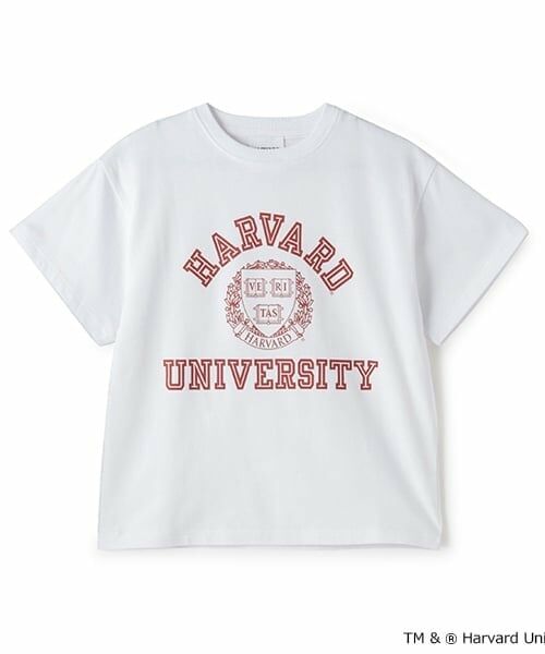 GLAZOS / グラソス Tシャツ | 【SKIT0LY】【接触冷感】ハイクールコットン・ハーバード大学半袖Tシャツ | 詳細10
