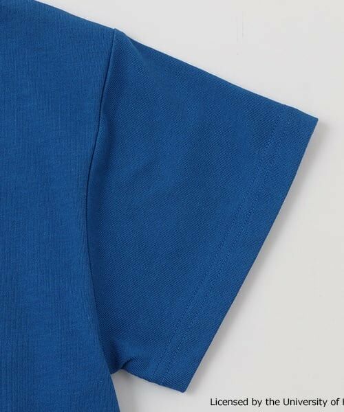 GLAZOS / グラソス Tシャツ | 【SKIT0LY】【接触冷感】ハイクールコットン・ハワイ大学半袖Tシャツ | 詳細5