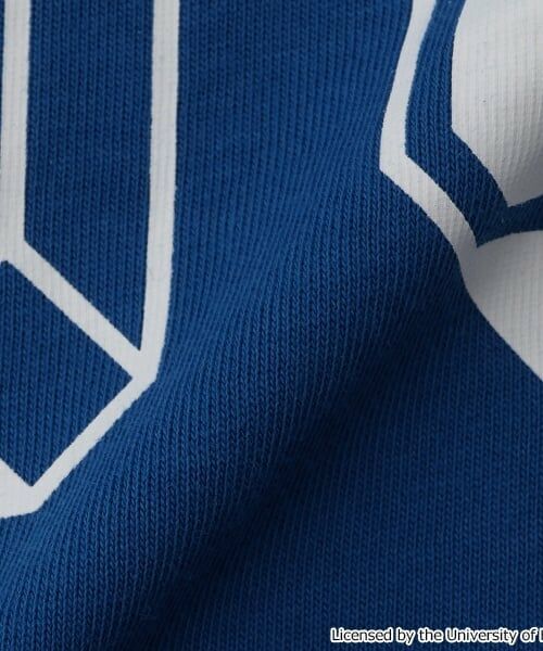 GLAZOS / グラソス Tシャツ | 【SKIT0LY】【接触冷感】ハイクールコットン・ハワイ大学半袖Tシャツ | 詳細7