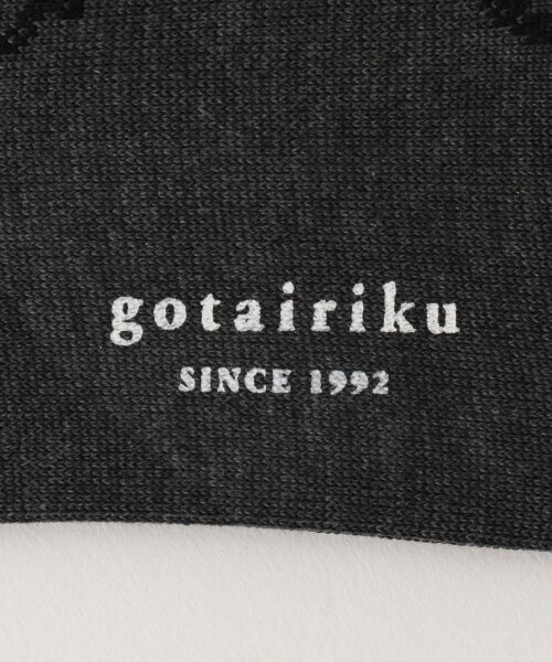gotairiku / ゴタイリク ソックス | オリジナルソックスペーズリー | 詳細4