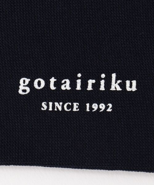 gotairiku / ゴタイリク ソックス | 【定番】オリジナルリブ ソックス | 詳細4