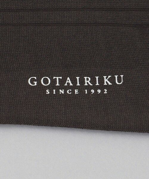 gotairiku / ゴタイリク ソックス | 【超機能性】オリジナル コーデュラ混 リブソックス | 詳細3