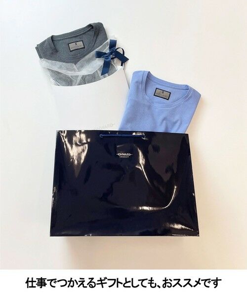 gotairiku / ゴタイリク カットソー | キングサイズ登場【サラサラ/高通気】仕事で着られる 鹿の子 BIZ Tシャツ | 詳細2