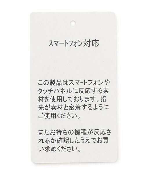 gotairiku / ゴタイリク 手袋 | 【スマホ対応】シープレザー  グローブ（24年モデル） | 詳細7