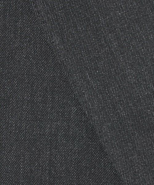 gotairiku / ゴタイリク セットアップ | 【御幸毛織】ドライスピナーツイルストレッチスーツ_グレー | 詳細8
