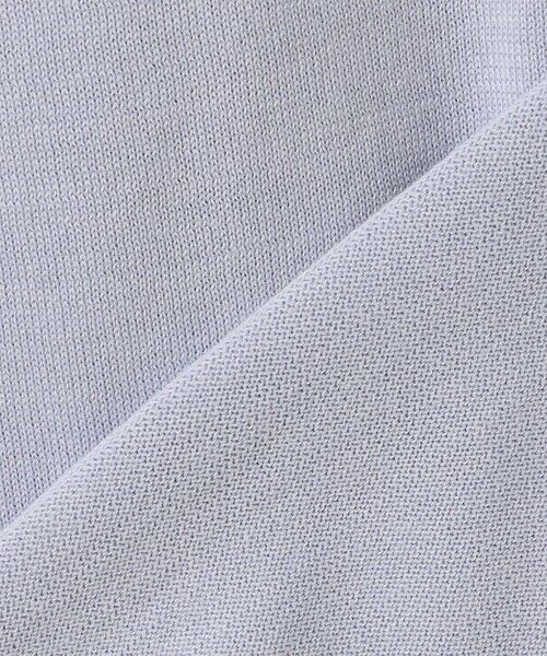 gotairiku / ゴタイリク ポロシャツ | GOLD LABEL/WEB&一部店舗限定【洗える】シーアイランドコットン ラグラン半袖ニットポロ | 詳細6