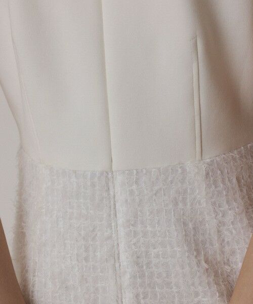 GRACE CONTINENTAL / グレースコンチネンタル ロング・マキシ丈ワンピース | フェザー刺繍コンビワンピース | 詳細8