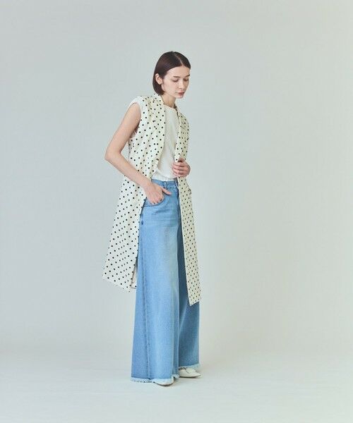 GRACE CONTINENTAL / グレースコンチネンタル ロング・マキシ丈ワンピース | ドットジレドレス | 詳細1