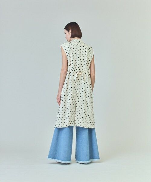 GRACE CONTINENTAL / グレースコンチネンタル ロング・マキシ丈ワンピース | ドットジレドレス | 詳細2