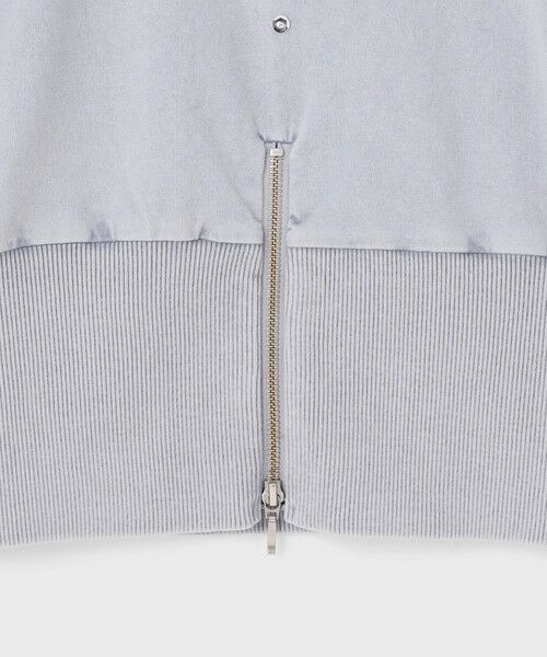 GRACE CONTINENTAL / グレースコンチネンタル カットソー | ピグメントショートトップ | 詳細14