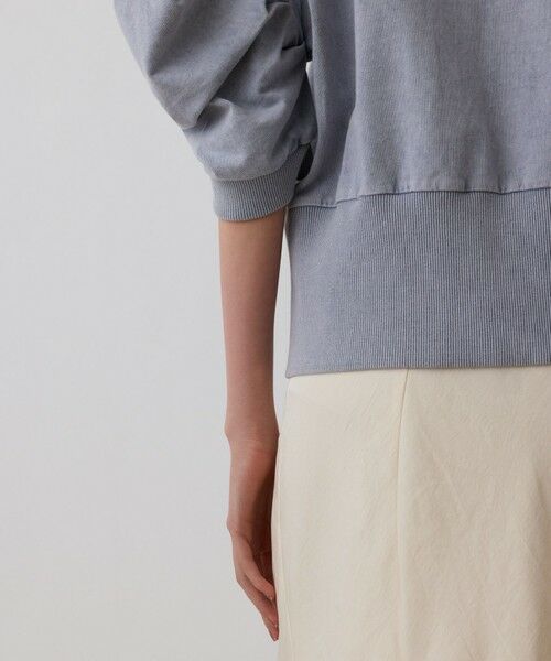 GRACE CONTINENTAL / グレースコンチネンタル カットソー | ピグメントショートトップ | 詳細9