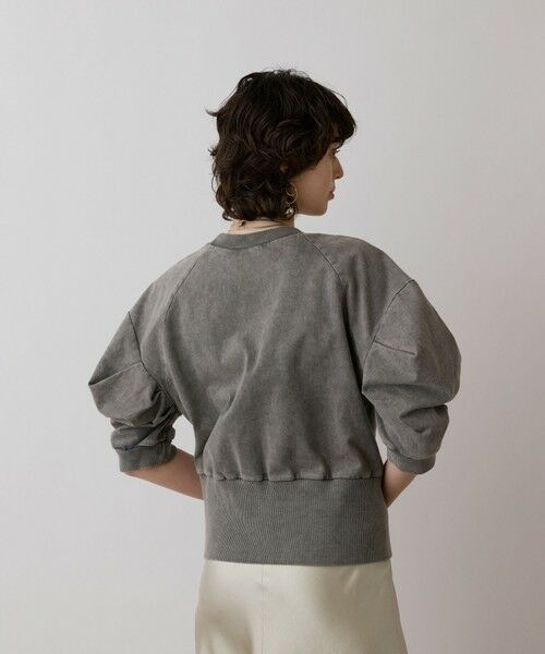 GRACE CONTINENTAL / グレースコンチネンタル カットソー | ピグメントショートトップ | 詳細18