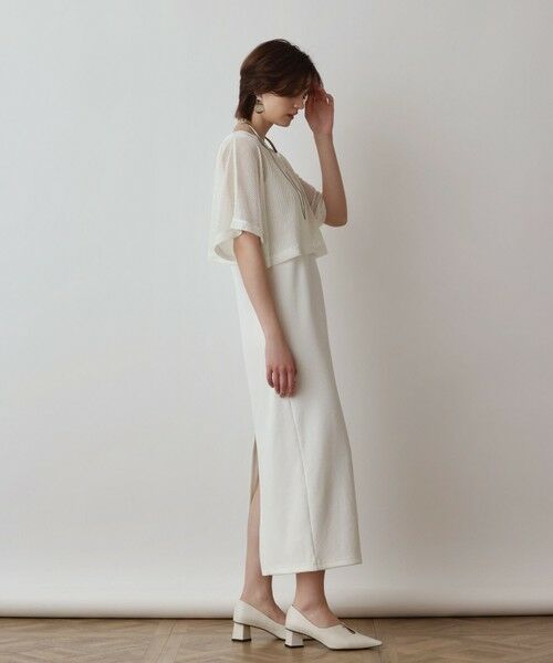 GRACE CONTINENTAL / グレースコンチネンタル ロング・マキシ丈ワンピース | メッシュレイヤードワンピース | 詳細2