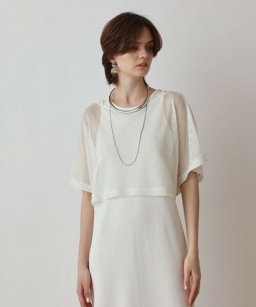 GRACE CONTINENTAL / グレースコンチネンタル ロング・マキシ丈ワンピース | メッシュレイヤードワンピース | 詳細3