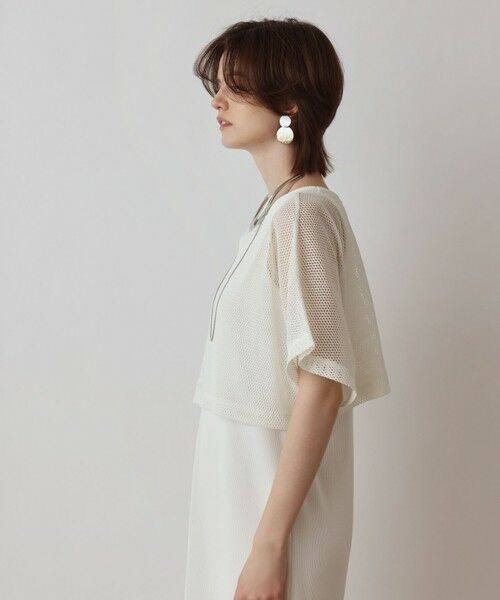 GRACE CONTINENTAL / グレースコンチネンタル ロング・マキシ丈ワンピース | メッシュレイヤードワンピース | 詳細4