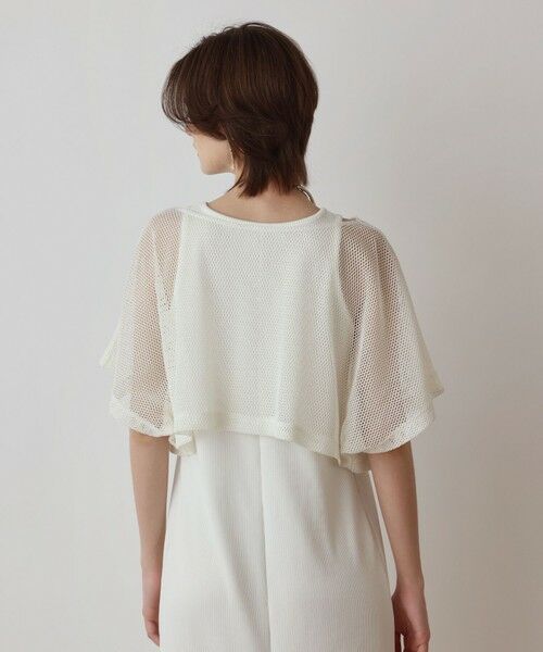 GRACE CONTINENTAL / グレースコンチネンタル ロング・マキシ丈ワンピース | メッシュレイヤードワンピース | 詳細5