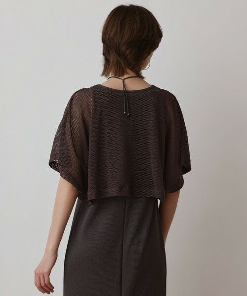 GRACE CONTINENTAL / グレースコンチネンタル ロング・マキシ丈ワンピース | メッシュレイヤードワンピース | 詳細18