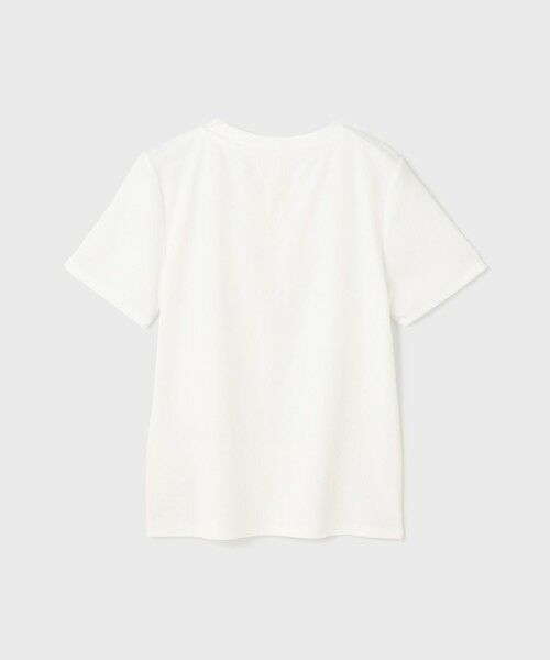 GRACE CONTINENTAL / グレースコンチネンタル カットソー | コンパクト天竺トップ | 詳細6