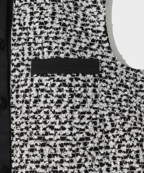 GRACE CONTINENTAL / グレースコンチネンタル ドレス | フェザーembドレス | 詳細14