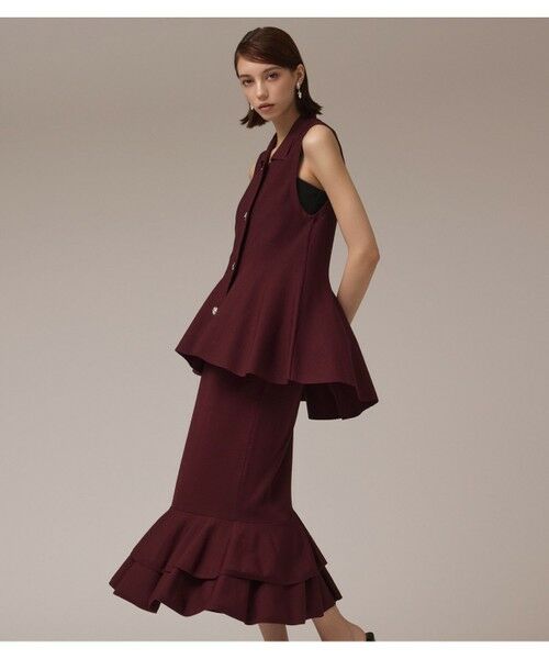 GRACE CONTINENTAL / グレースコンチネンタル ロング・マキシ丈スカート | ティアードニットスカート | 詳細1