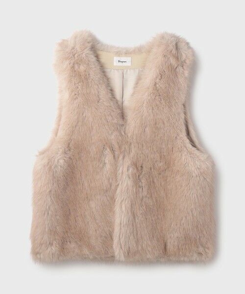 GRACE CONTINENTAL / グレースコンチネンタル その他アウター | フェイクフォックスファ−ベスト | 詳細6