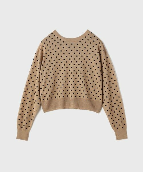 GRACE CONTINENTAL / グレースコンチネンタル カーディガン・ボレロ | ドットフロッキーニットカーディガン | 詳細20